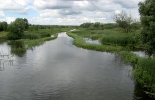 121.jpg