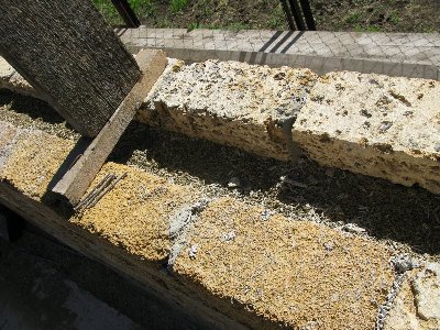 IMG_12322.JPG